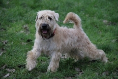 Epke